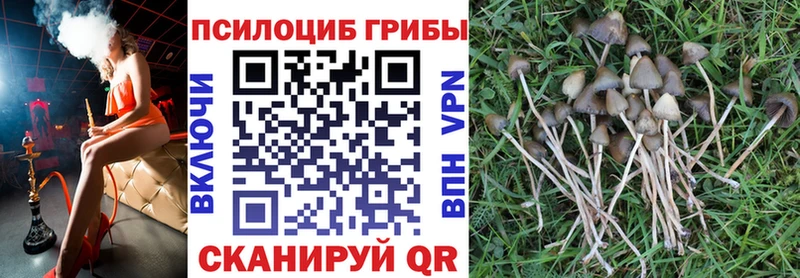 что такое наркотик  Кузнецк  Псилоцибиновые грибы Psilocybine cubensis 